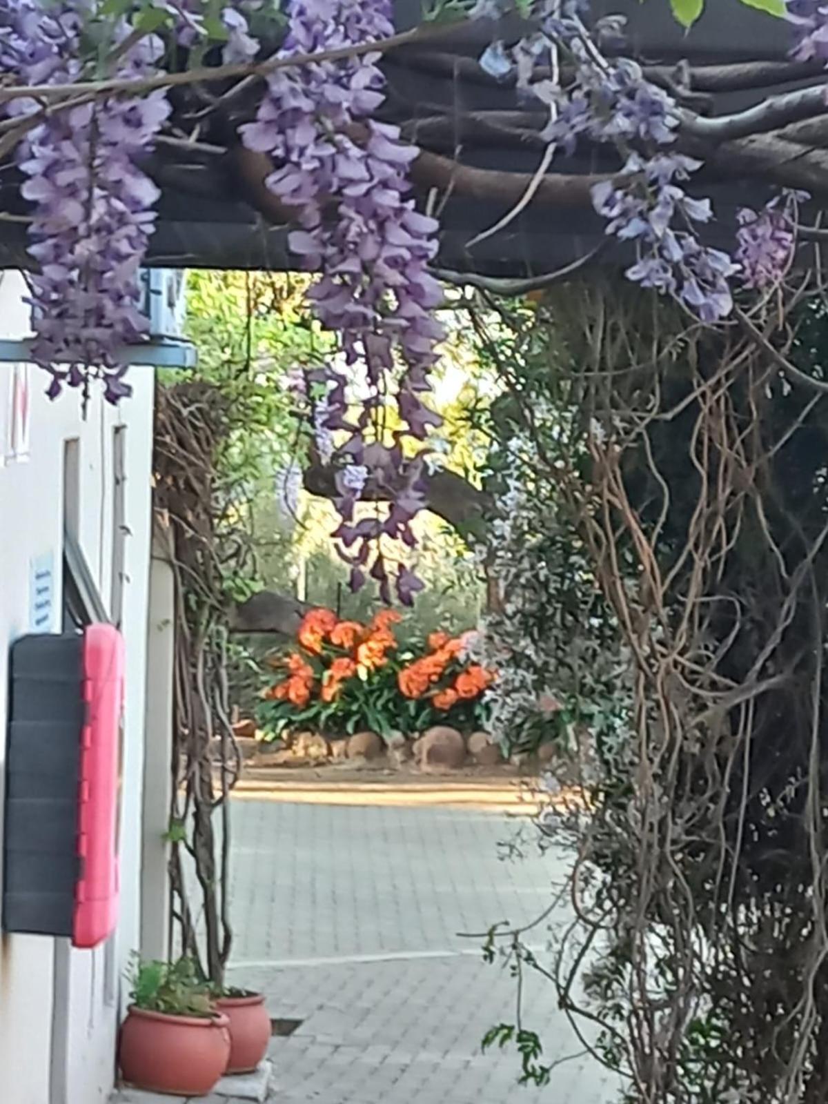A Little Guesthouse Bloemfontein Ngoại thất bức ảnh